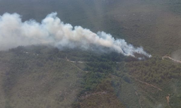 Selçuk'ta orman yangını!